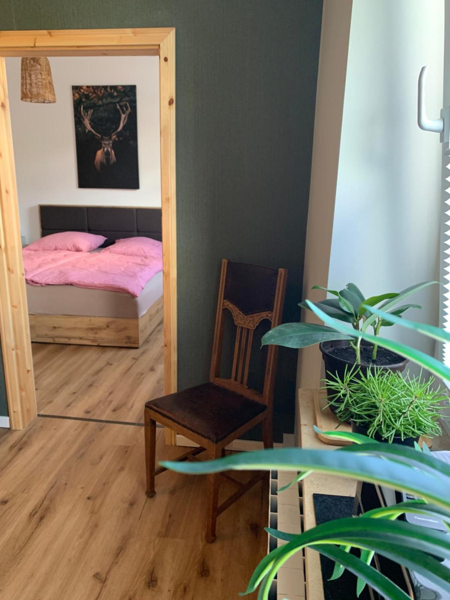 Katharina Boardinghouse Διαμέρισμα Όσναμπρουκ Εξωτερικό φωτογραφία